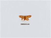 藏品(華麗美苔蛾)的圖片